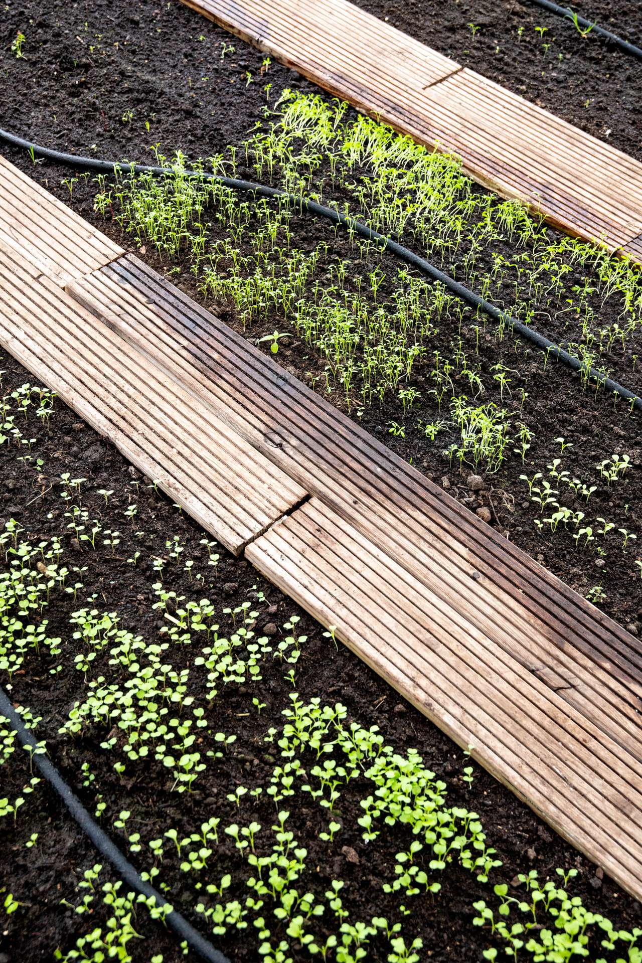 designmeubels voor de tuin