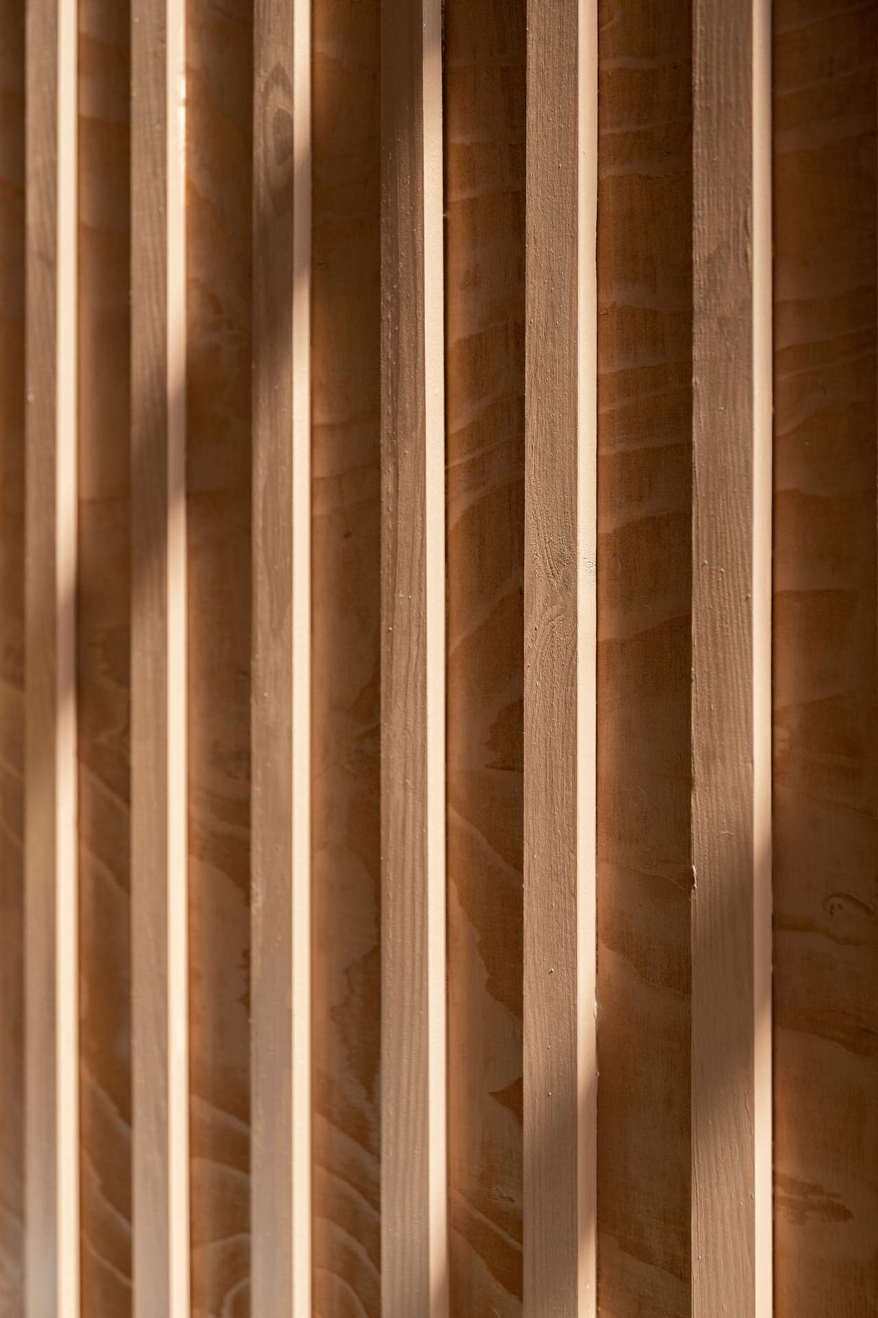minimal wooden interior