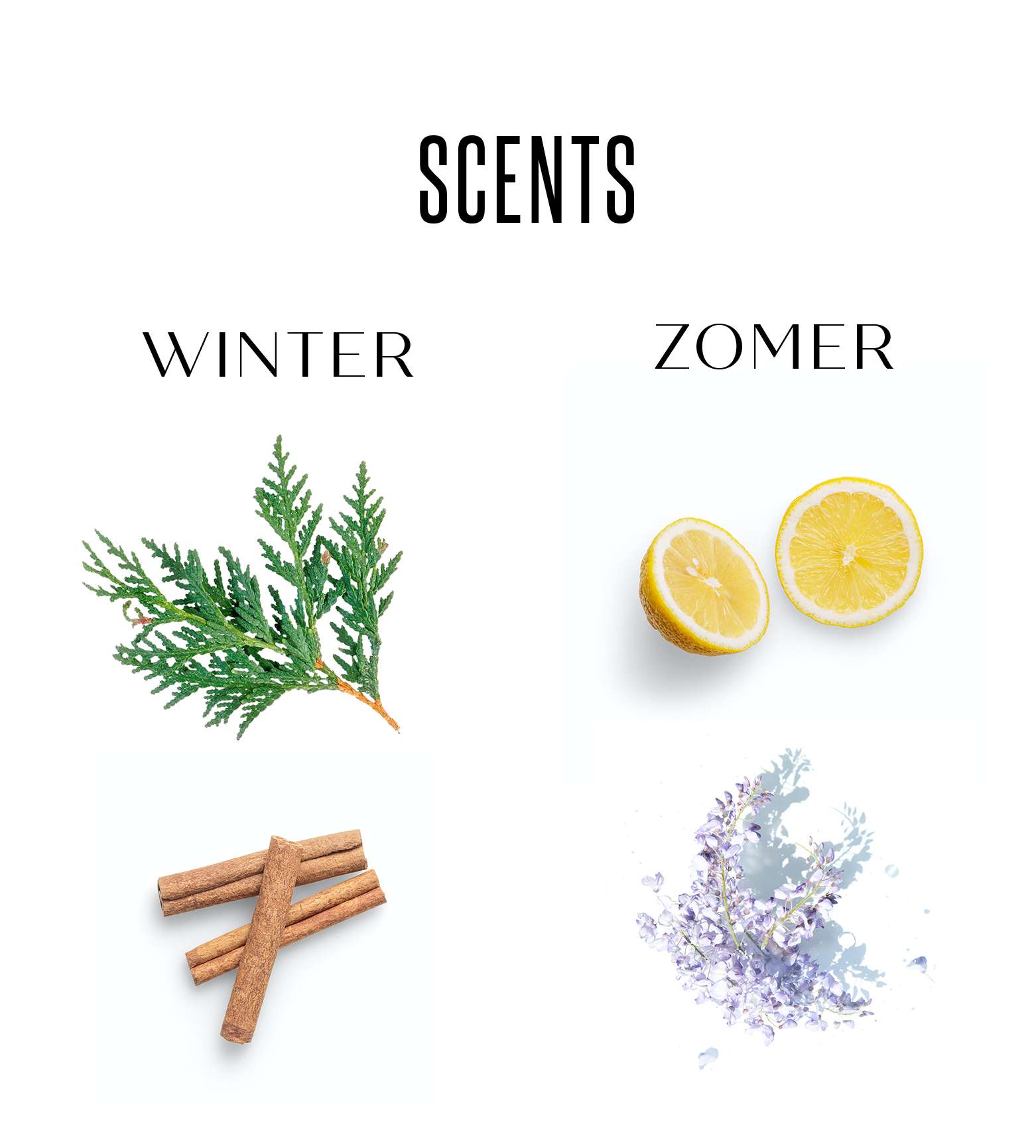 scents-loods5-geuren-winter-zomer