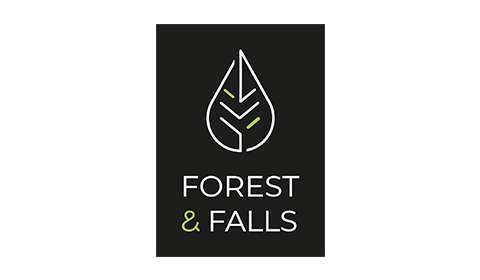 Forest & Falls
