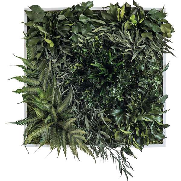 Wanddecoratie verticale tuin Jungle Wanddecoratie Loods 5