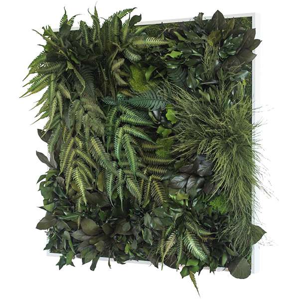 Wanddecoratie verticale tuin Jungle Wanddecoratie Loods 5