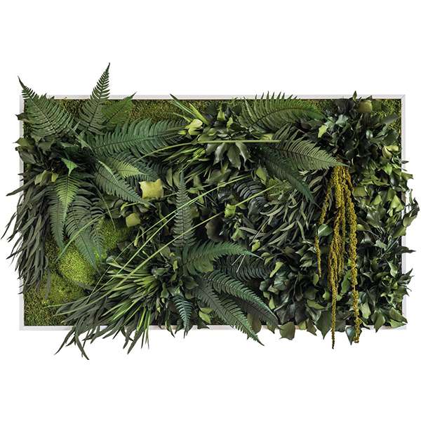 Wanddecoratie verticale tuin Jungle Wanddecoratie Loods 5