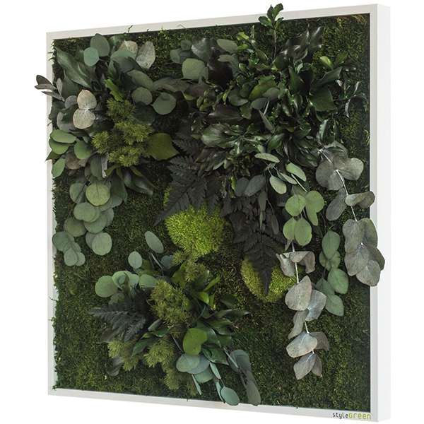 Wanddecoratie verticale tuin Plant islands Wanddecoratie Loods 5