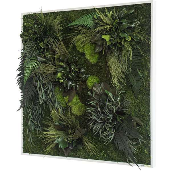 Wanddecoratie verticale tuin Plant islands Wanddecoratie Loods 5