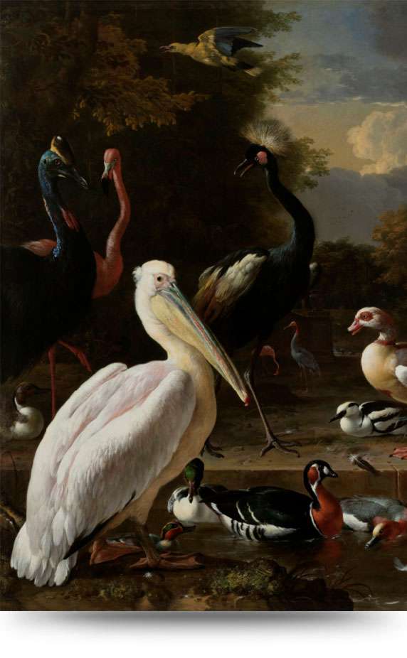 in plaats daarvan zout Omringd Canvas schilderij Vintage Vogels - Producten - Loods 5