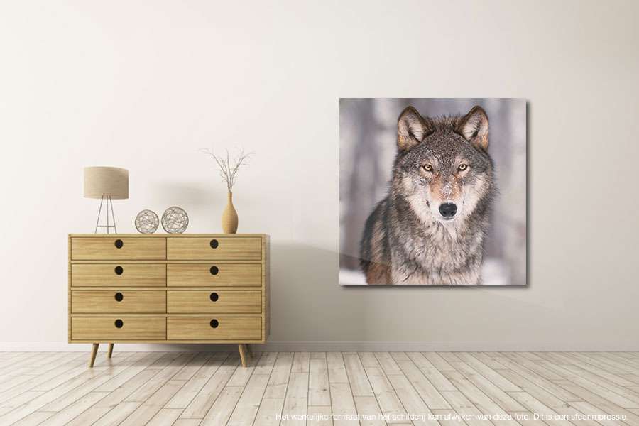 Schilderijen op glas Wolf - Nikkel-Art.nl