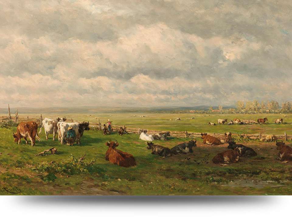 Pracht baseren Reserveren Schilderijen met koeien - Canvas schilderij - Producten - Loods 5
