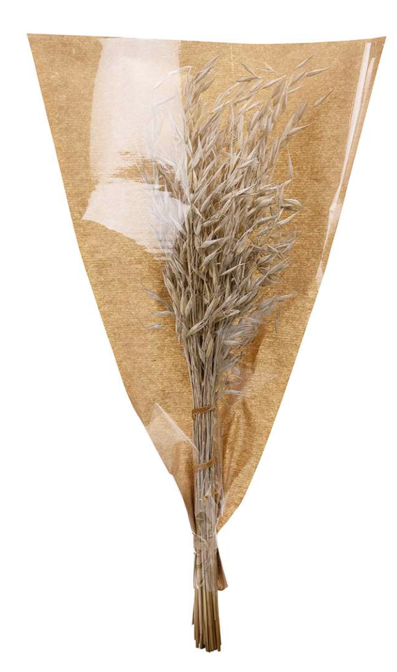 Wilde haver white wash (2 bundels) Producten Loods 5 Wilde haver white wash (2 bundels) Producten Loods 5
