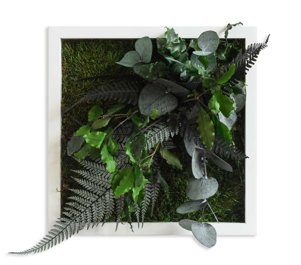 Stylegreen Verticale Tuin Jungle Design Wanddecoratie Loods 5