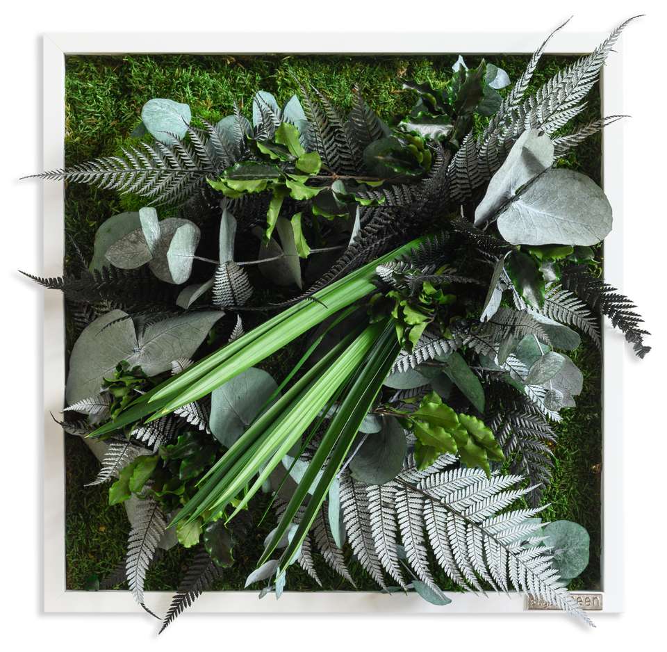 Stylegreen Verticale Tuin Jungle Design Wanddecoratie Loods 5