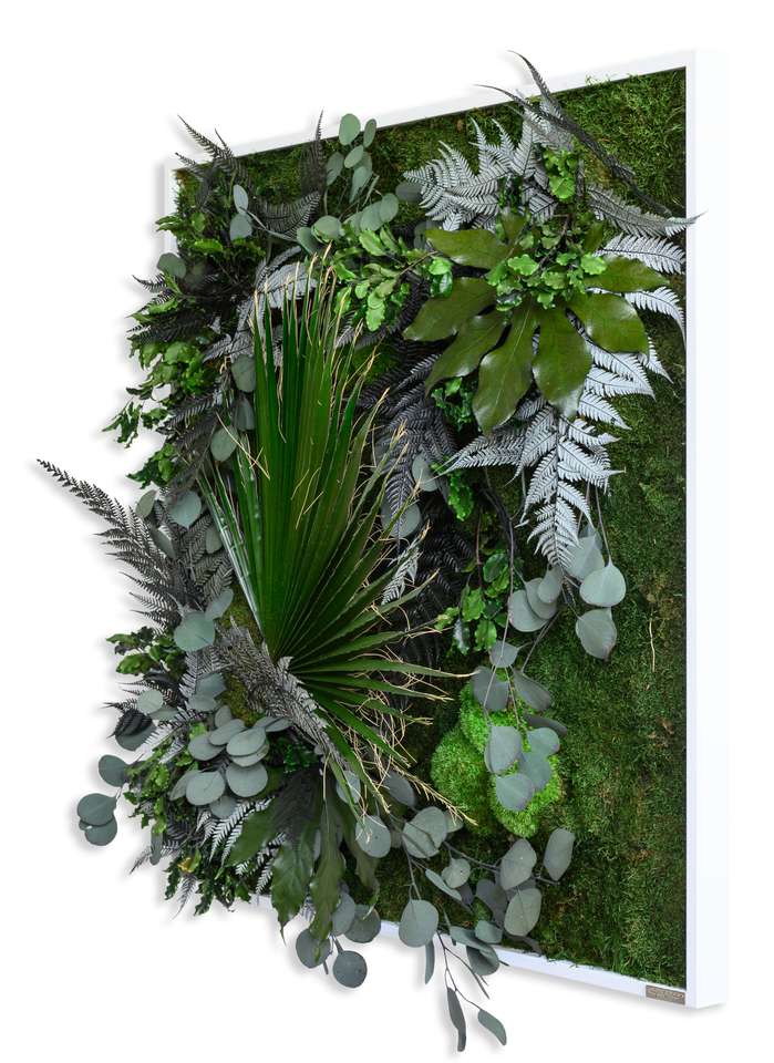 Stylegreen Verticale Tuin Jungle Design Wanddecoratie Loods 5