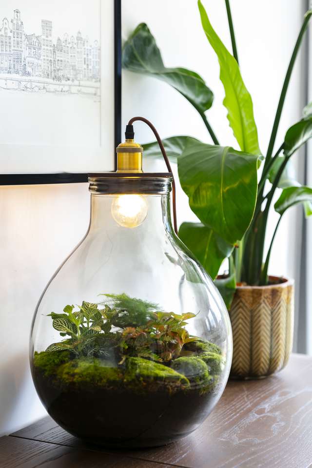 Zegevieren bloemblad Begrijpen Terrarium lamp DIY - Tafel- & bureaulampen - Loods 5