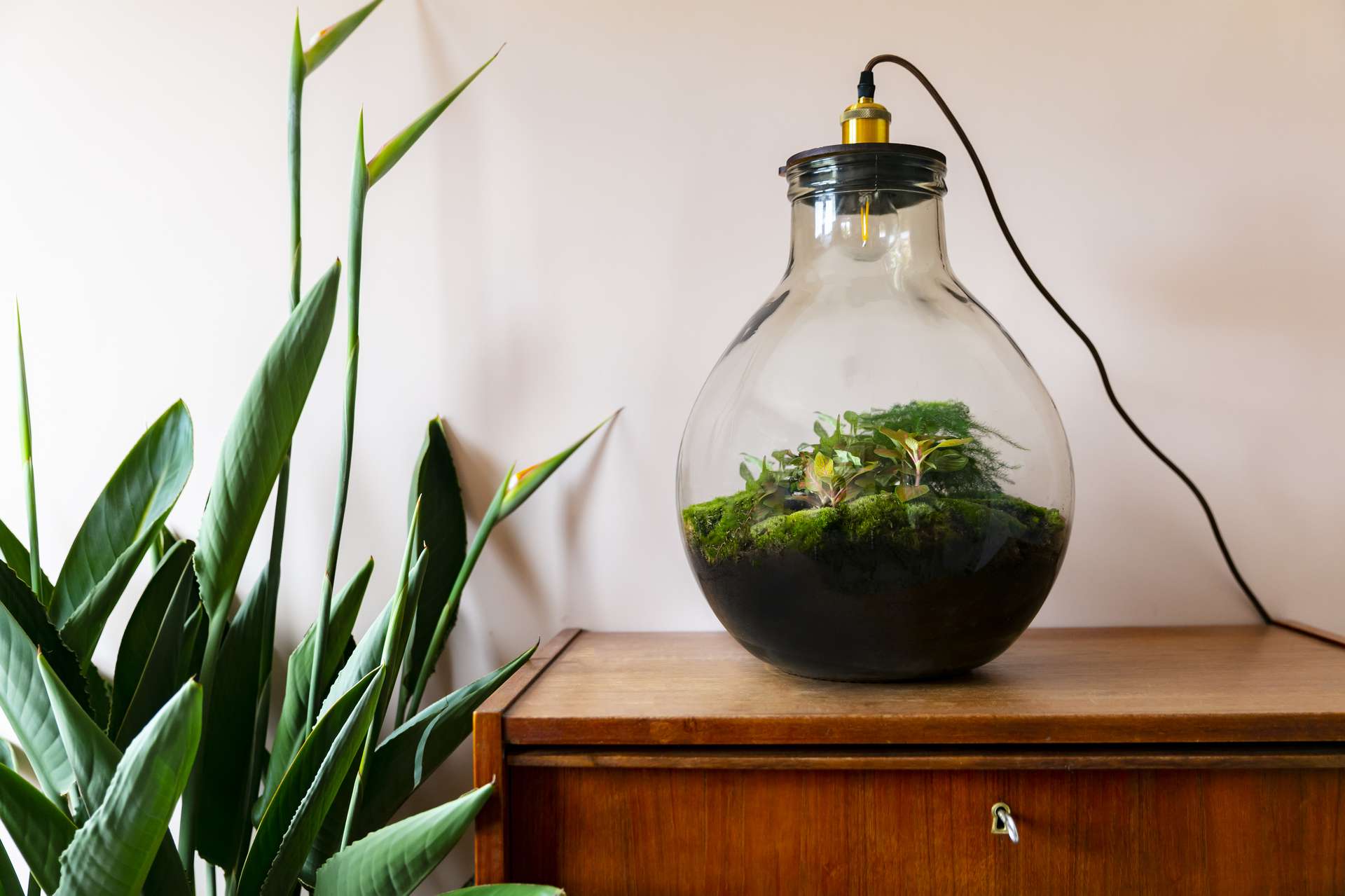 Terrarium lamp DIY Tafel &amp; bureaulampen Loods 5