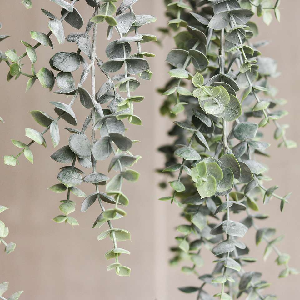 Kunst hangplant Eucalyptus - Producten - 5