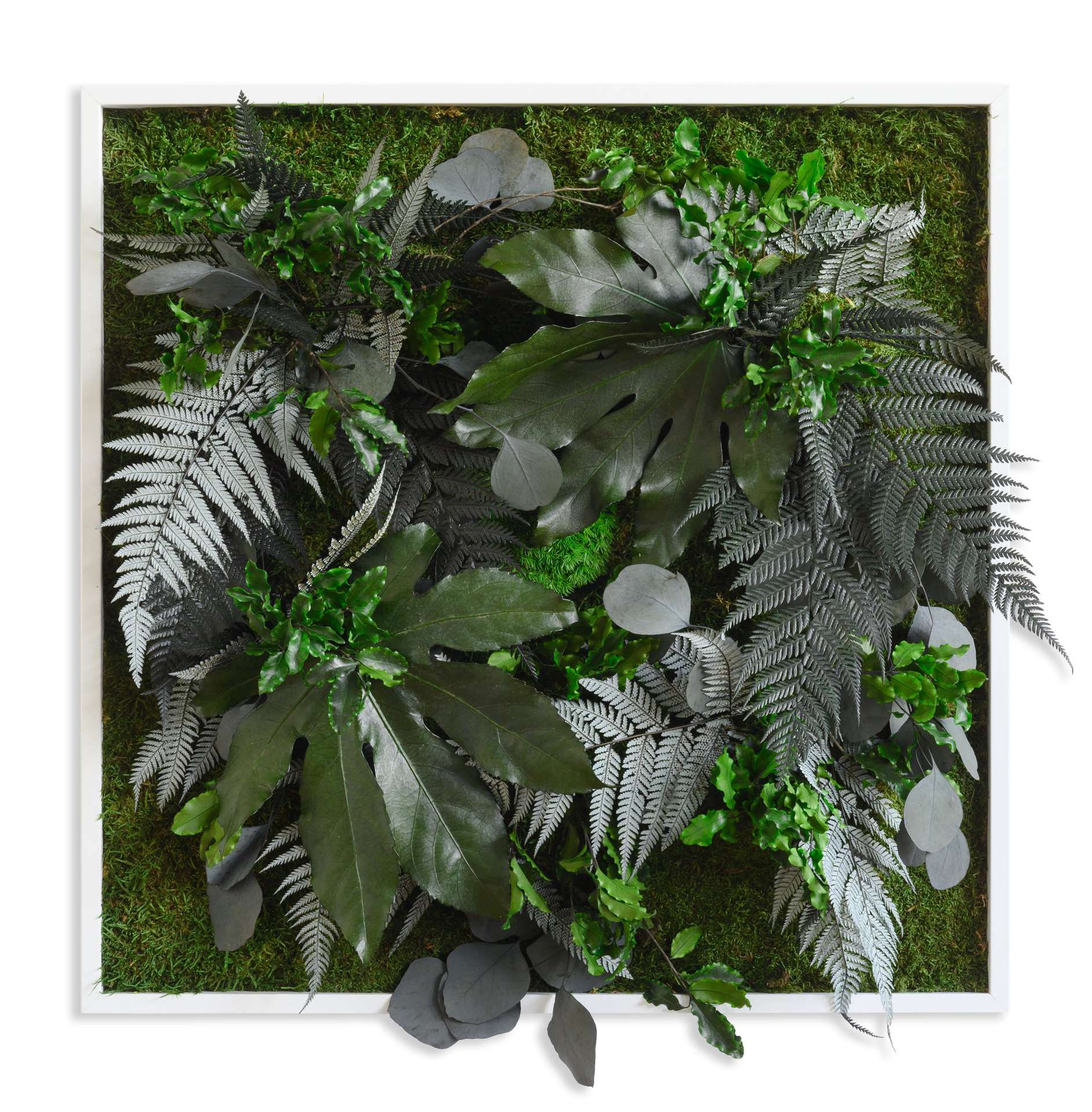 Stylegreen Verticale tuin Jungle Design 55 x 55cm Wanddecoratie