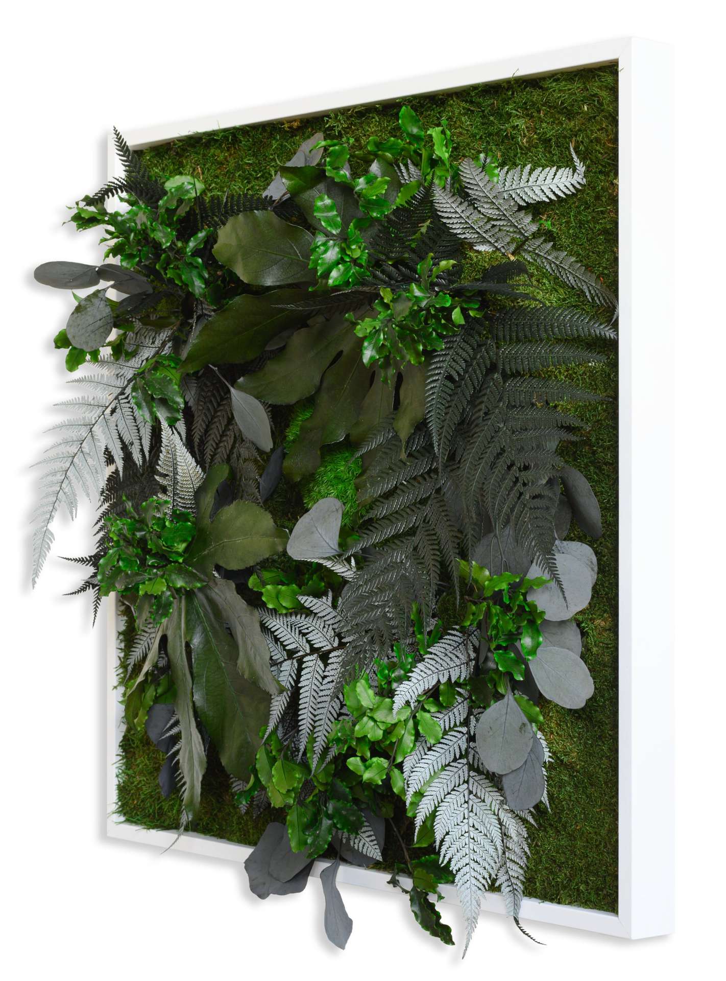 Stylegreen Verticale tuin Jungle Design 55 x 55cm Wanddecoratie