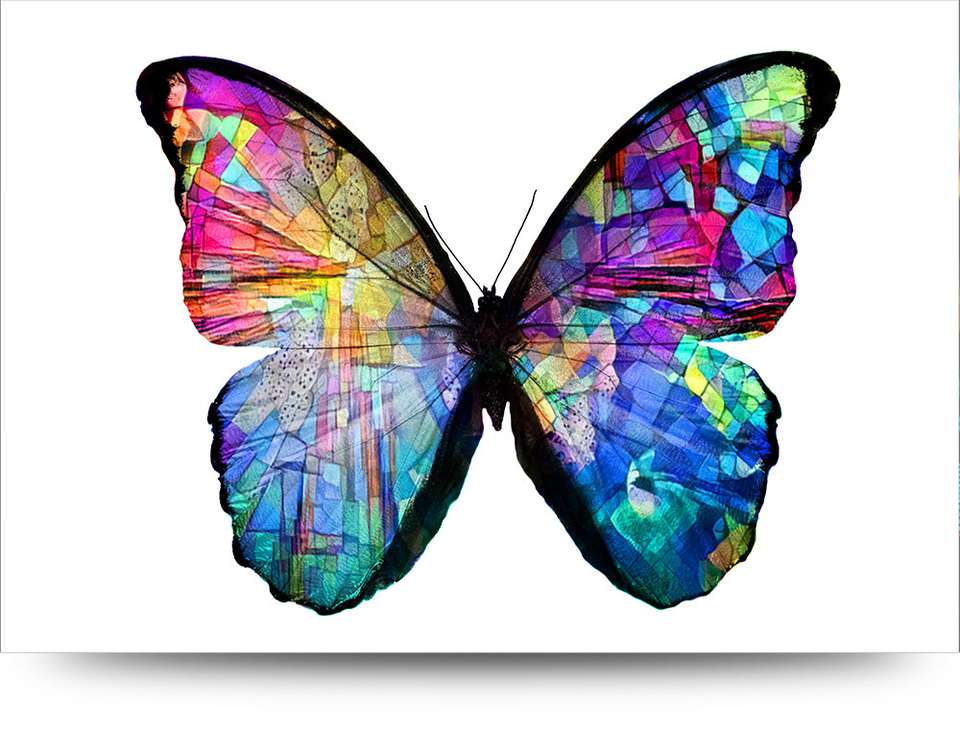 lenen archief Wijzerplaat Schilderij Impressie gekleurde vlinder acrylglas - Producten - Loods 5